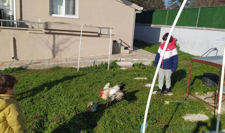 Horoz Efe'nin futbol aşkı, kamerada