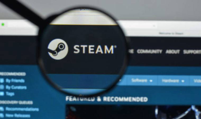 Steam'deki ilginç oyun: Tam 17 bin TL'den satışa çıktı