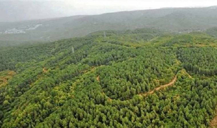 CHP'li Alban: 117 metrekarelik arazinin sırrı ne?