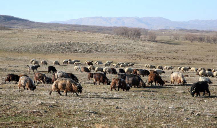 Çiftçi 'hasar gördü'