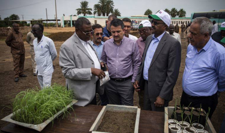 Aylar sonra yanıt geldi!