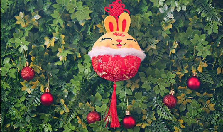 Yenilik getiren tavşan yılı