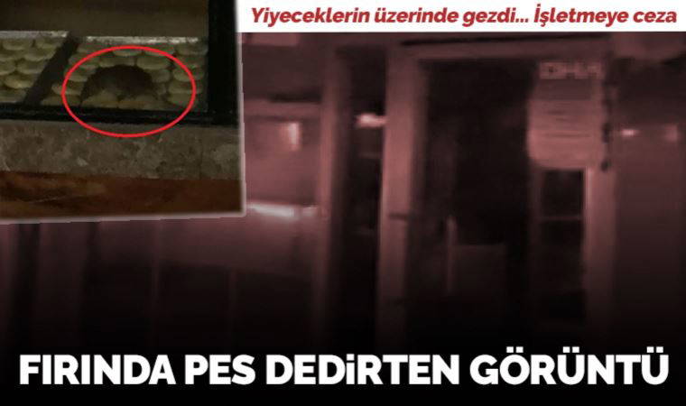 Tekirdağ'da yiyeceklerin üzerinde fare gezen işletmeye ceza