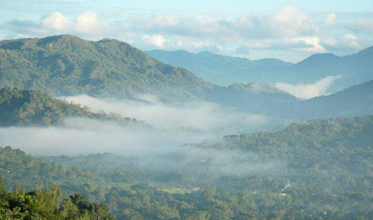 İklim değişikliği: Sierra Madre dağlarındaki yağmur ormanından kalanı koruma mücadelesi