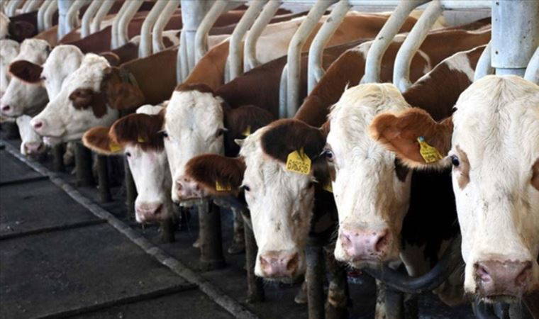 Bakanlığa önerge verdi