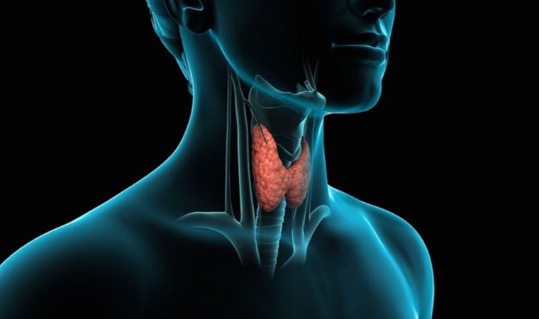 Doç. Dr. Gönülalan: 'Hashimoto hastasının tedavisi bireyseldir'