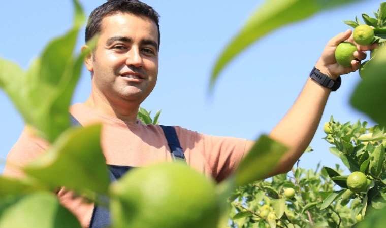 Bu limon ’yeşil limon’ fiyatı: 40 TL, diğerleri 3 TL