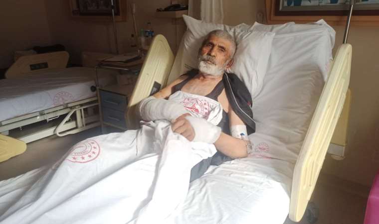 Ayının saldırdığı yaşlı adam korku dolu anları anlattı: 'Ağzına elimi sokup dilini sıktım, zaman kazandım'