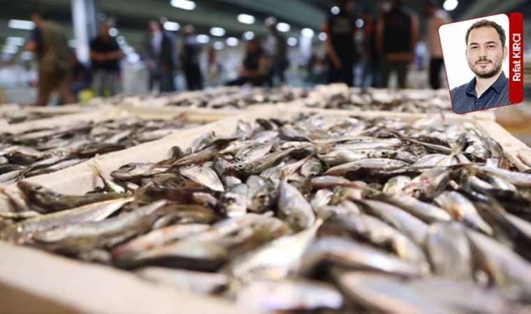 Balığı yok ettik: Deniz kirliliği, iklim değişikliği soframızı etkiledi, ağlar boş çekiliyor