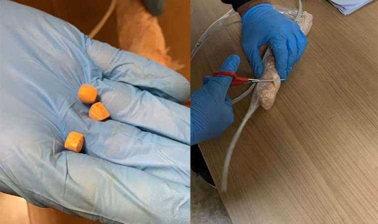 Havalimanında yakalandı... İç çamaşırlarından 300 bin TL'lik uyuşturucu çıktı!