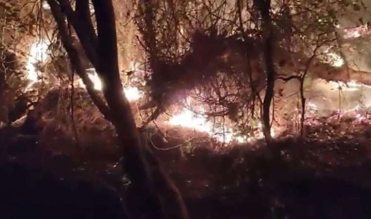 Marmaris'te orman yangını! (14 Ekim 2023)