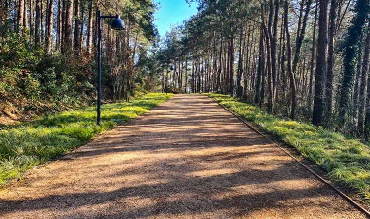 Suların kesilme riski var...