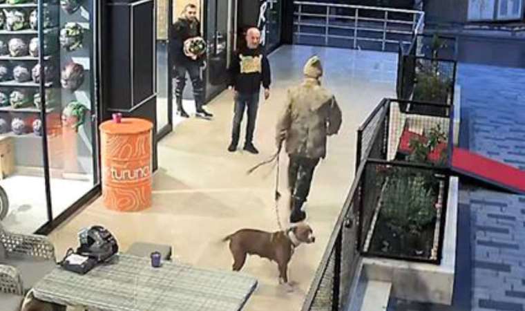 Dehşet saçmıştı... Pitbul ve bıçaklı saldırgan gözaltına alındı!