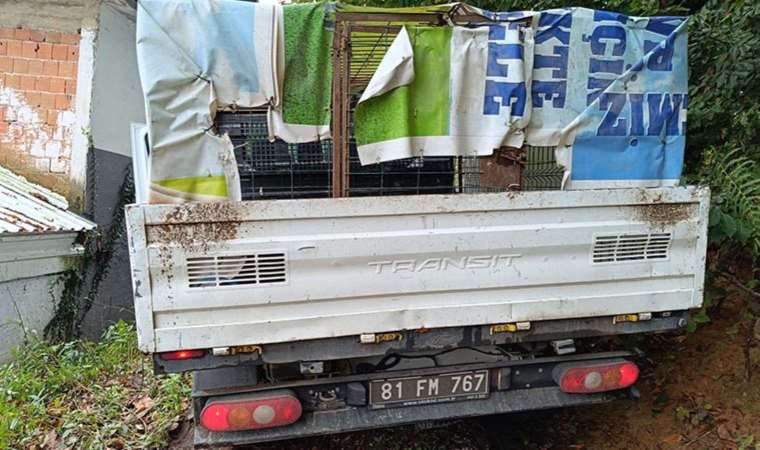 Belediye personeli, ölü köpekleri köye bırakırken yakalandı