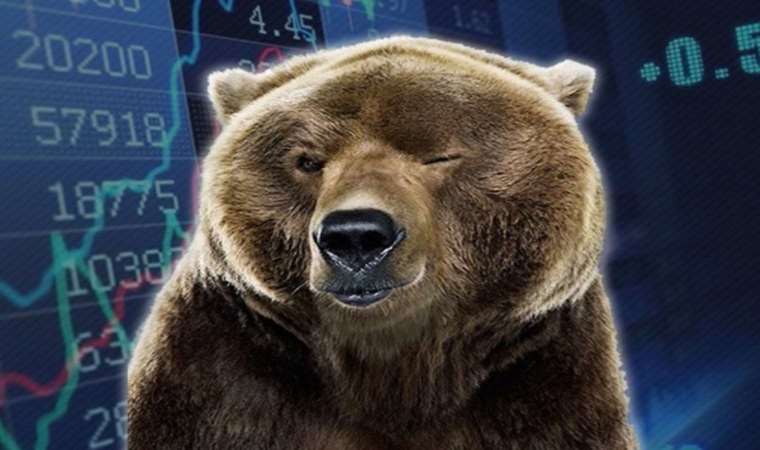 Ayı Piyasası (Bear Market) nedir?