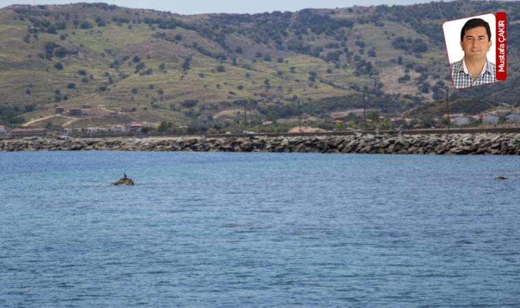 Gökçeada'da özelleştirme