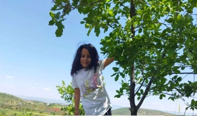 Yol kenarında hareketsiz bulunmuştu: 6 yaşındaki Nisa, kurtarılamadı