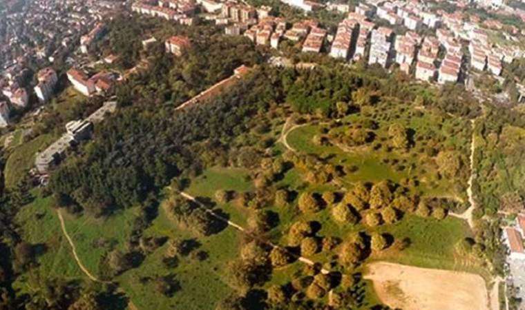 Talana açılacakken...