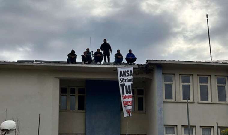 73 gün önce greve başladılar: İşten çıkarılan arkadaşları için firmanın çatısına çıktılar!