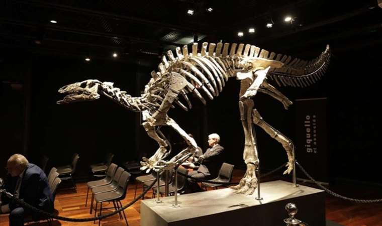 150 milyon yıllık dinozor iskeleti 27 milyon TL