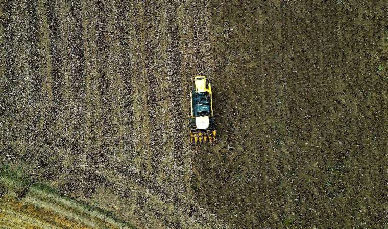 Bayburt'ta hasat başladı!  2 yılda 3 bin dekara çıktı...