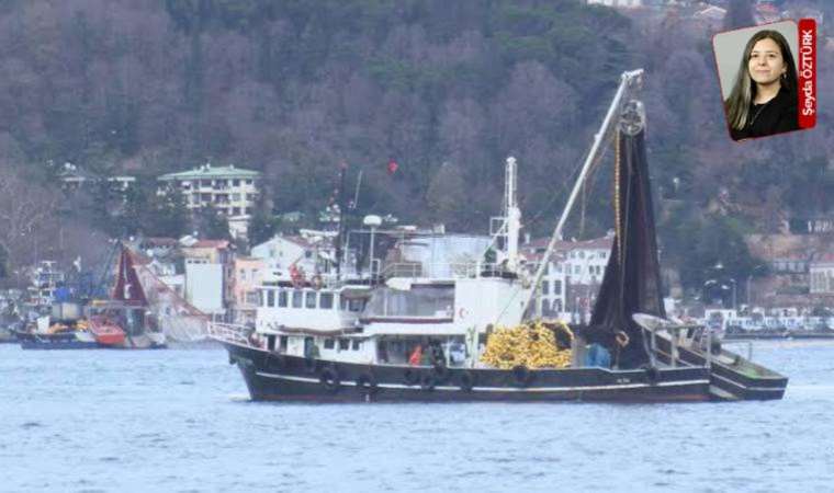 Marmara Denizi'nin ekosistemi için yeni tehlike: Gırgır avı sınırlanmalı