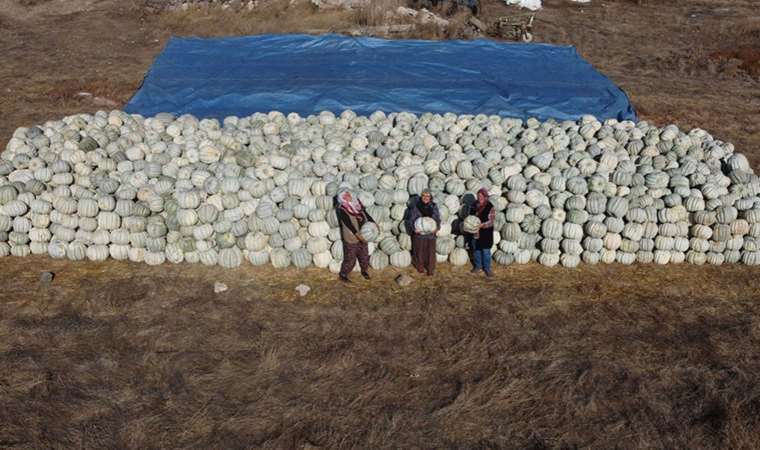 Çiftçi kadınlar kendi ürünlerini tanıtmanın gururunu yaşıyor