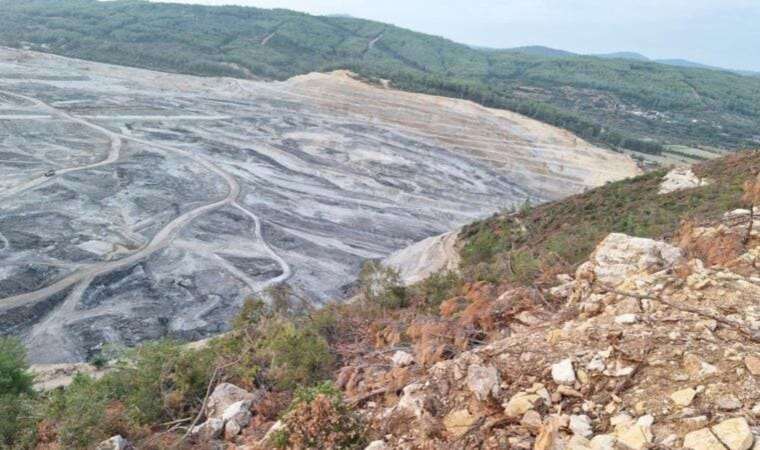 Limak Holding Akbelen'deki ağaç katliamında topu bakanlığa attı: 'Yetki onlarda'