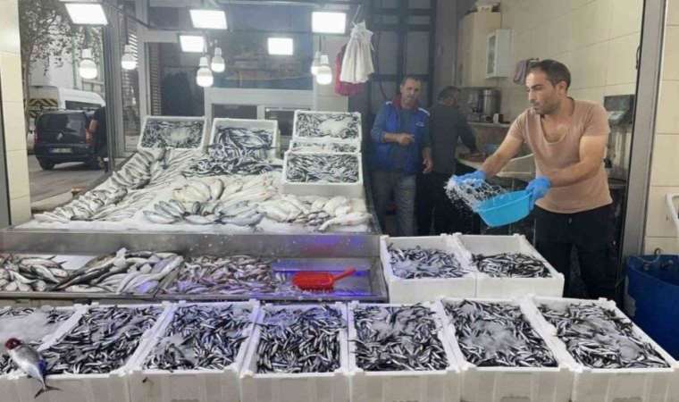 Sinop hamsisi 40 liraya düştü! Yurttaşlar tezgahlara akın etti