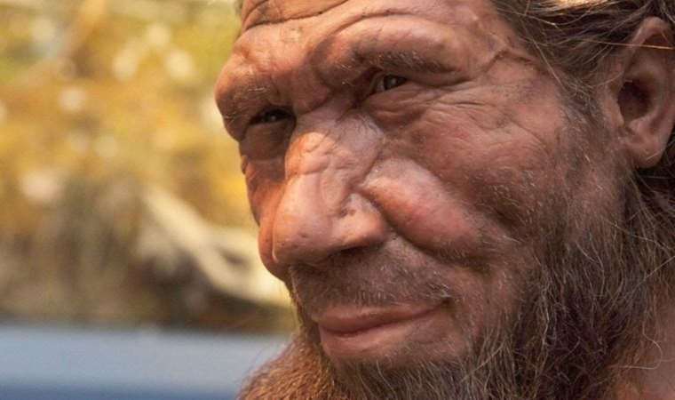 Neandertaller "farklı bir insan formu" olabilir mi?