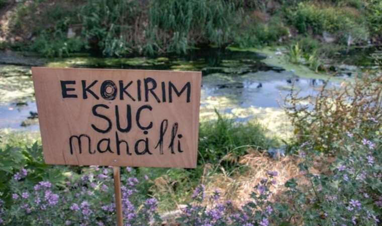 Katliama engel olacak yasa önerisi geliyor