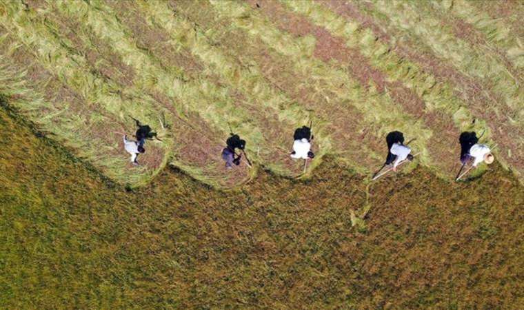 Manisa’da 93 bin çiftçinin 1,6 milyon dekar arazisi ipotekli