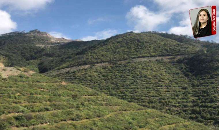 Depremin yerle bir ettiği Hatay'da 6 Şubat'tan bu yana 130 maden projesine onay verildi