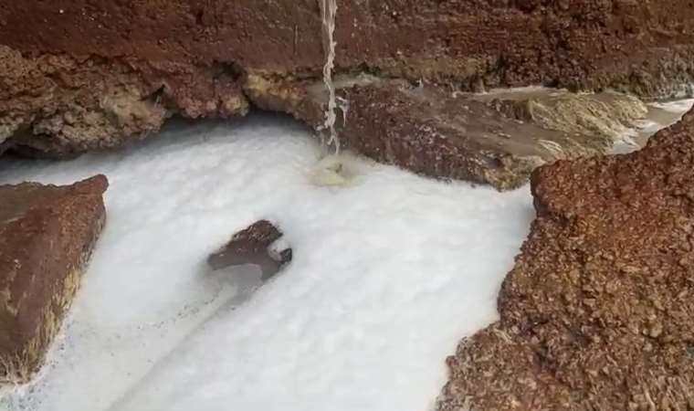 Korkunç iddia... 'Yağmur suyu rögarına kimyasal madde boşaltıldı'