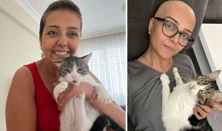 İzmir'de bir garip olay... Kedisi memesini tırmaladı, soluğu hastanede aldı: Kanser olduğunu öğrendi