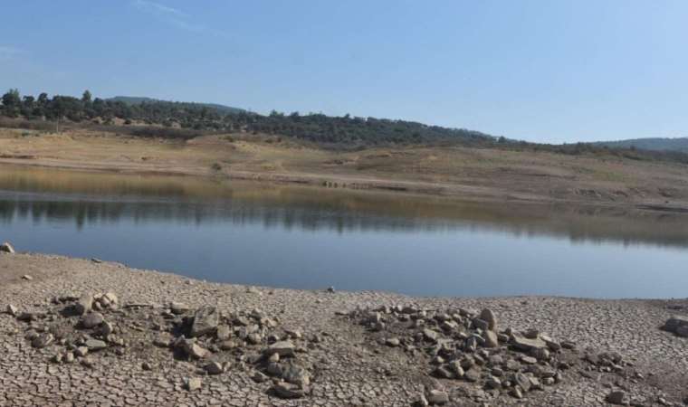 Uzmanından Bodrum'da su sıkıntısı uyarısı: 'Bizi zor günler bekliyor'