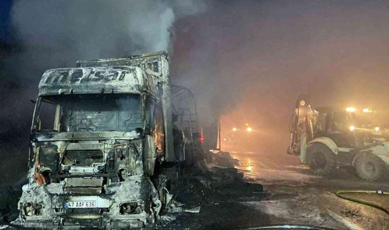 Sarıyer'de korkutan yangın... Kumaş yüklü TIR alev alev yandı: Otoyolu duman kapladı