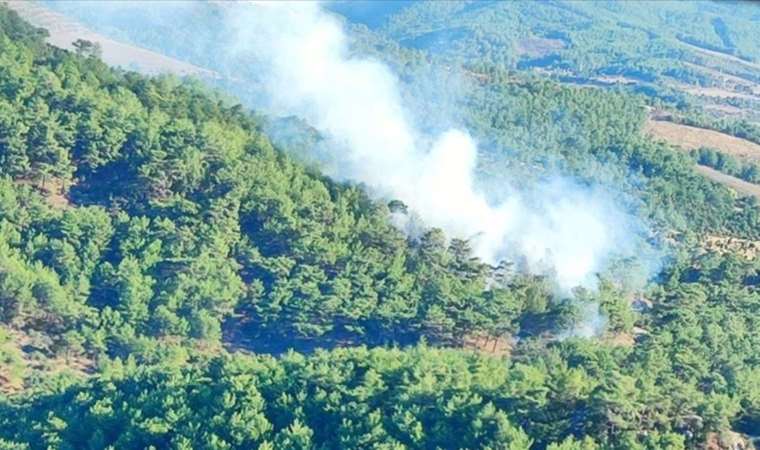 Çanakkale'de orman yangını: Müdahale sürüyor!
