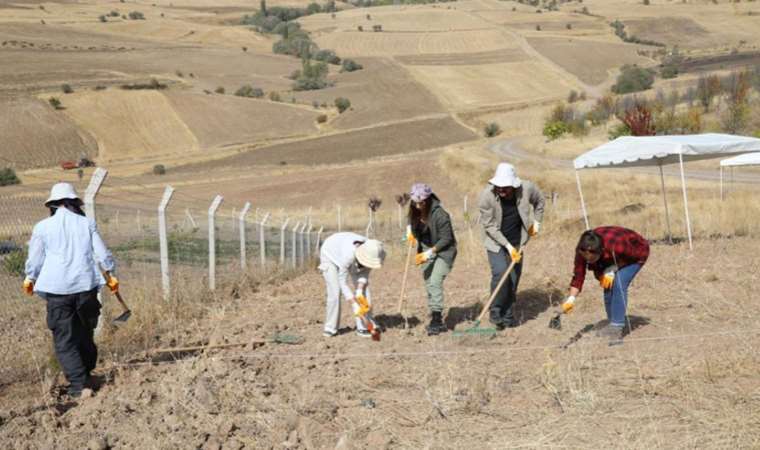Ankara'da toplu mezar bulundu: Çalışmalar sonucu kesinlik kazanacak!