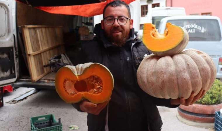 Semt pazarlarının gözdesi! Tarladan tezgaha yolculuk başladı... Çekirdeği tüm hastalıklara karşı önlem