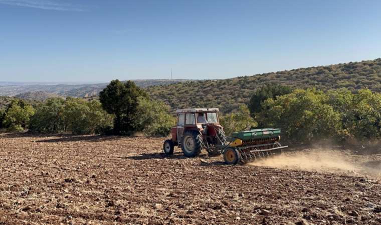 Kıraç tarım arazilerinde hububat ekimine başlandı! Yağmurlar verimi doğrudan etkiliyor