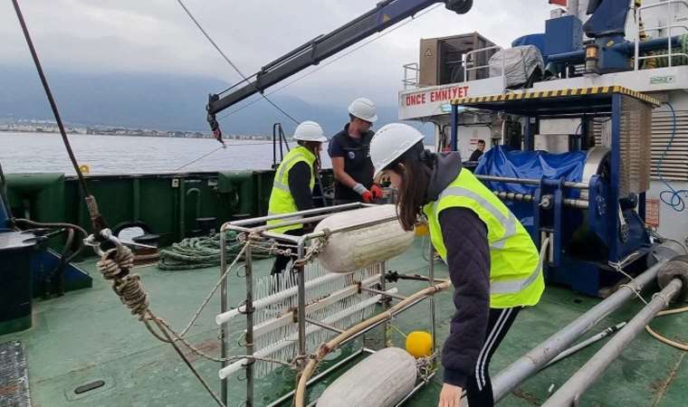 Kuşadası Körfezi’ndeki fayların incelenmesi tamamlandı