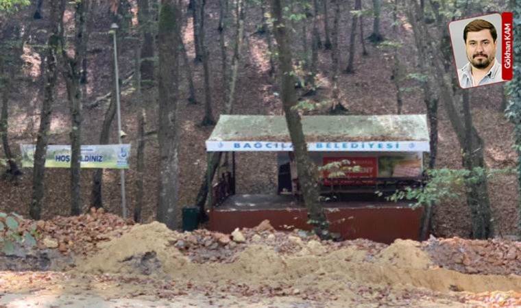 'Ormanı betona boğdular'