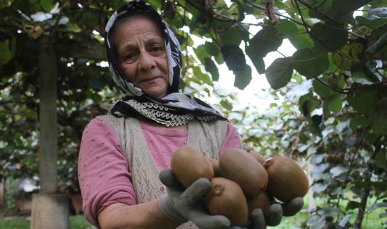 Hobi için başlamışlardı: Yıllık getirisi 100 milyon TL