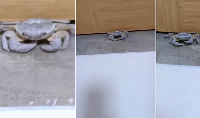 'İlk kez gördüm, o da KYK'da'