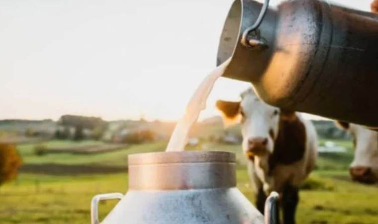 Süt üretimi aylık ağustosta yüzde 2 azaldı