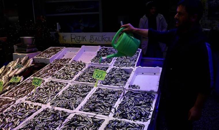 Trabzon'da balık fiyatları sevindirdi! İşte istavritin, mezgitin, levrek ve çipuranın fiyatları