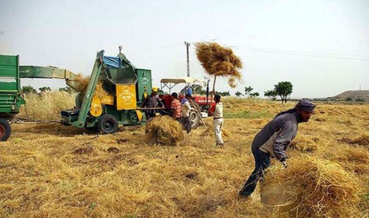 Tarım ÜFE'nin on iki aylık ortalaması yüzde 85'e dayandı