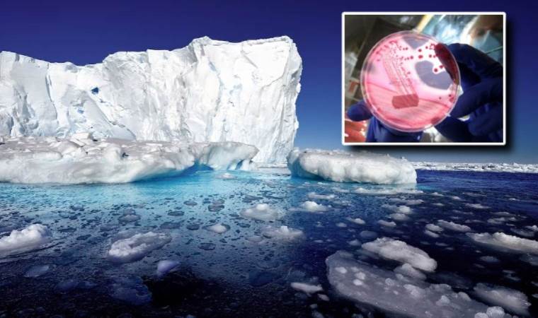 650 bin yıldır buzullar altında