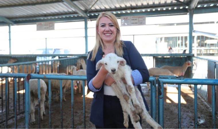 Merkezefendi Belediyesi'nden kadın üreticilere destek